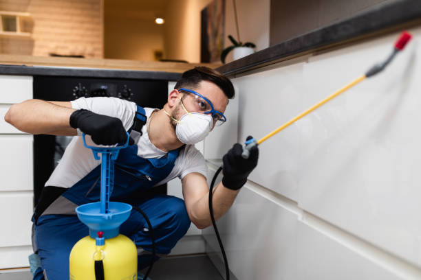 Reliable Mount Vista, WA Pest Control Solutions