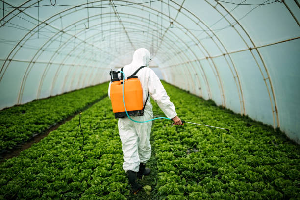 Best Emergency Pest Control  in Mount Vista, WA